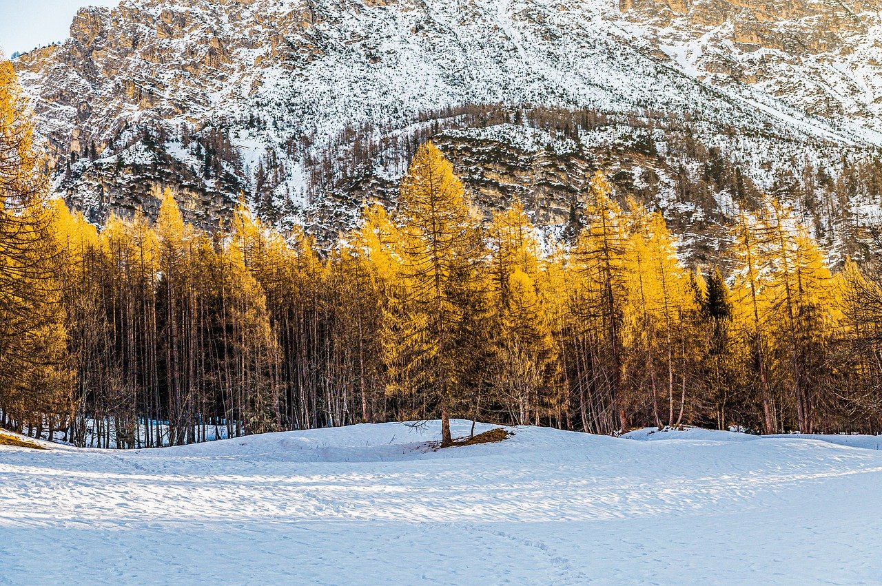 Top 10 Mountain Biking Trails in Crested Butte